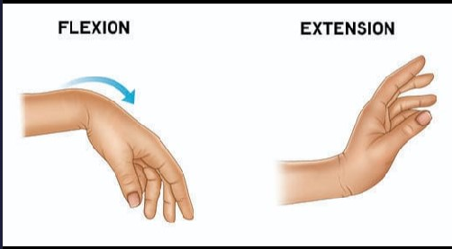 Hand rest game Project